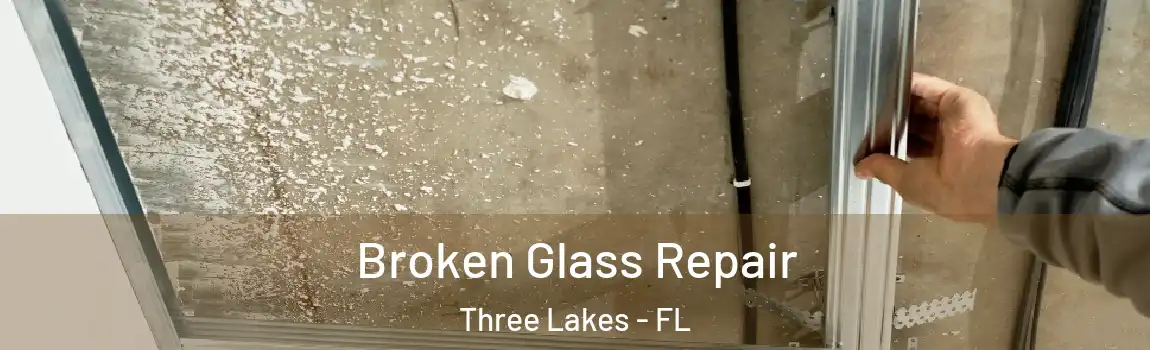 Broken Glass Repair Three Lakes - FL