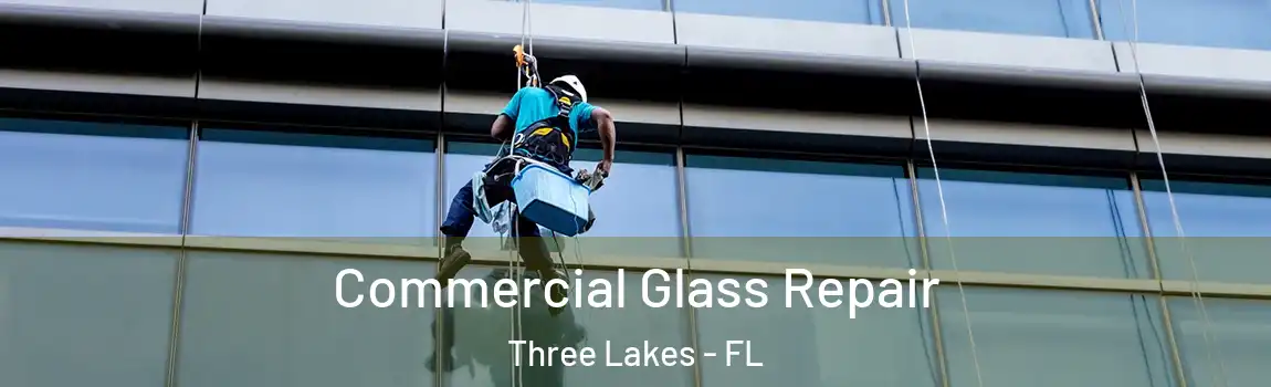 Commercial Glass Repair Three Lakes - FL