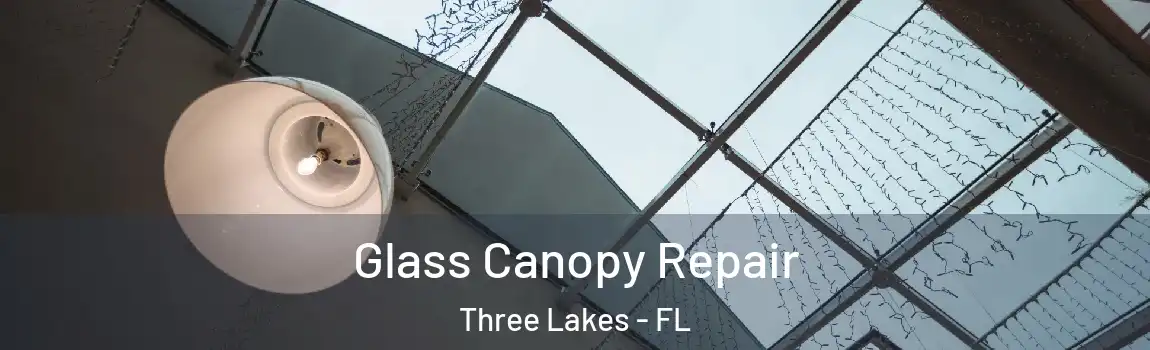 Glass Canopy Repair Three Lakes - FL