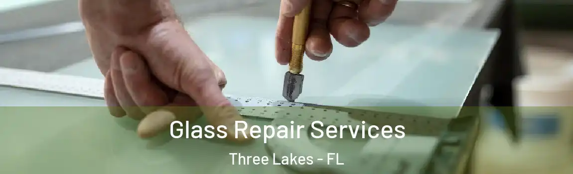 Glass Repair Services Three Lakes - FL