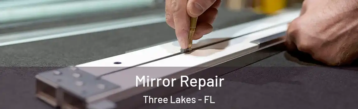 Mirror Repair Three Lakes - FL