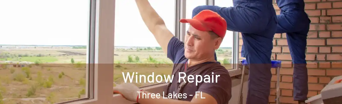 Window Repair Three Lakes - FL