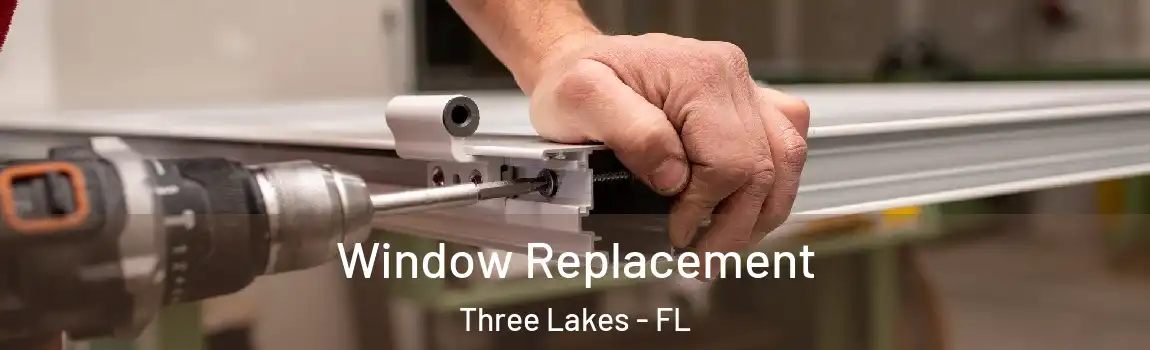 Window Replacement Three Lakes - FL